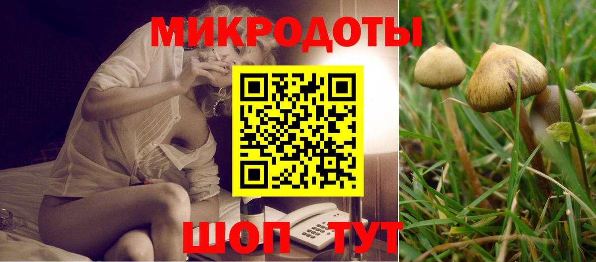 Ставрополь  Галлюциногенные грибы Magic Shrooms  Вход с VPN 